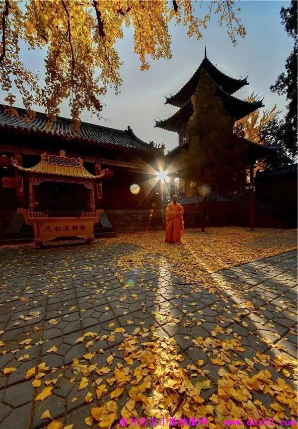 单职业传奇版本库 单职业传奇版本库