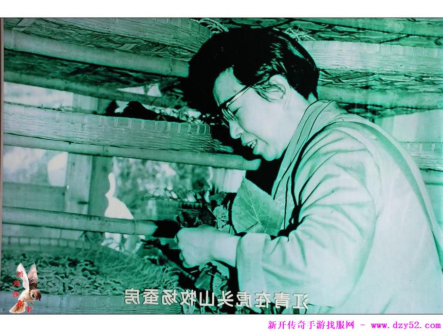 单职业传奇版本库 单职业传奇版本库