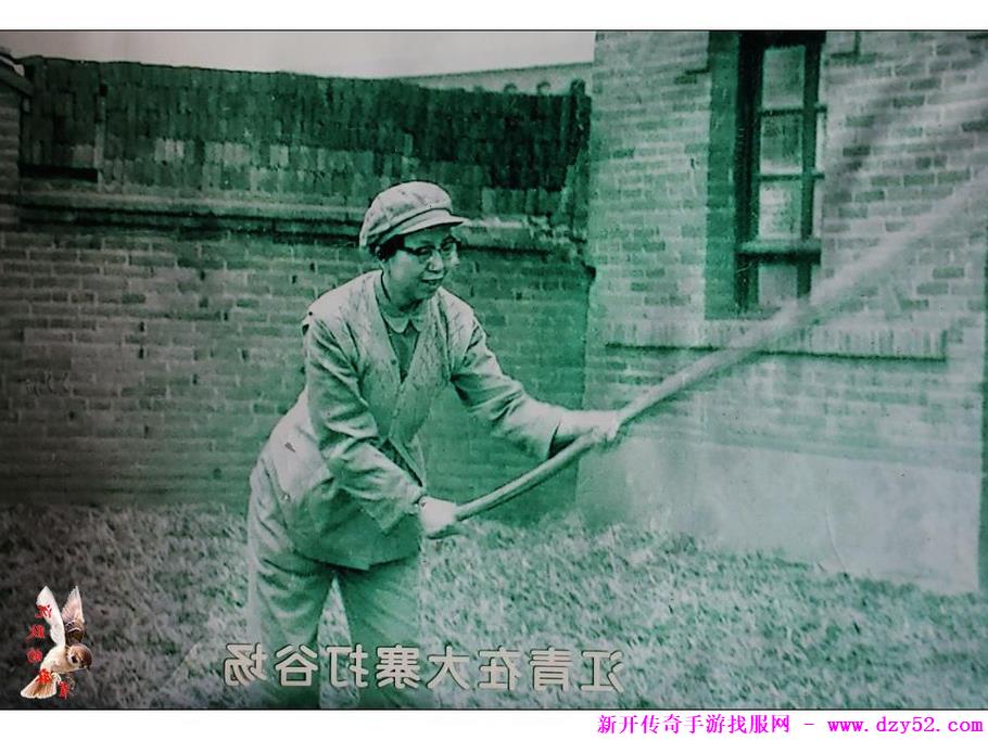单职业传奇版本库 单职业传奇版本库